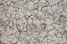 Photo Nature Royalty free photo ground 002