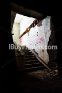 Royalty free photo stairs 005